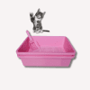 Litter Tray Square for Kittens