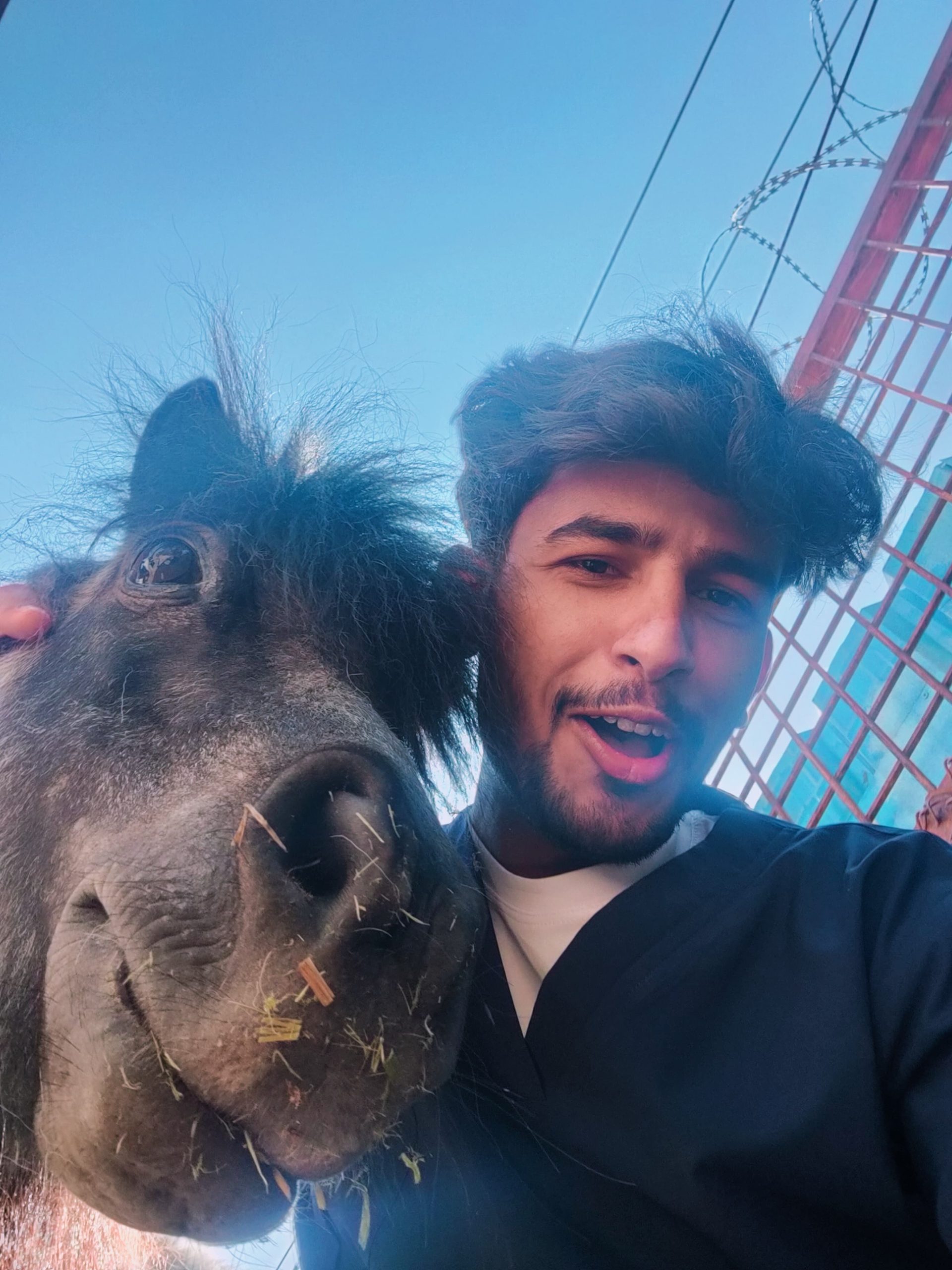 WhatsApp Image 2024-08-15 at 11.56.08 AM