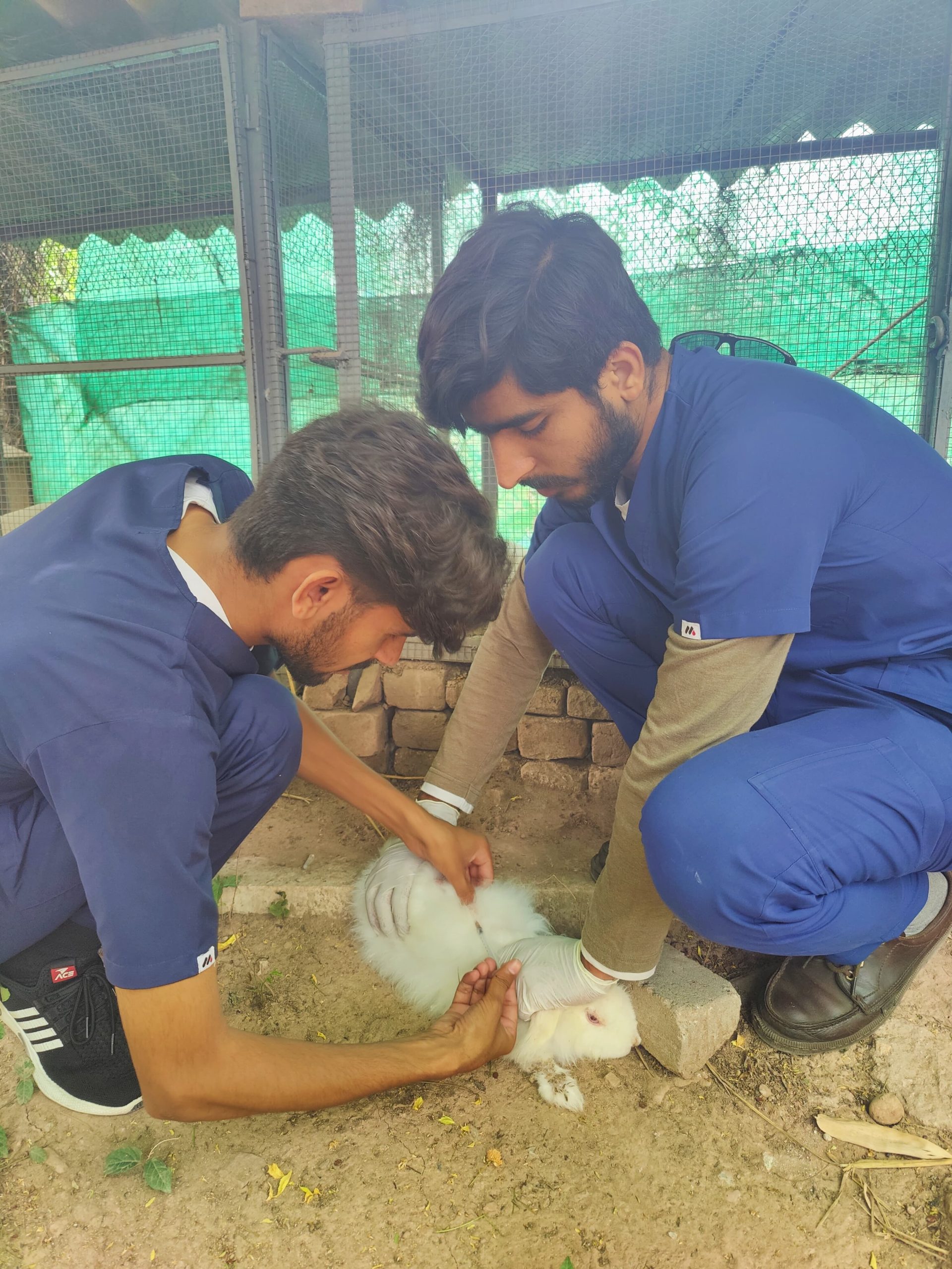 WhatsApp Image 2024-08-15 at 11.56.09 AM