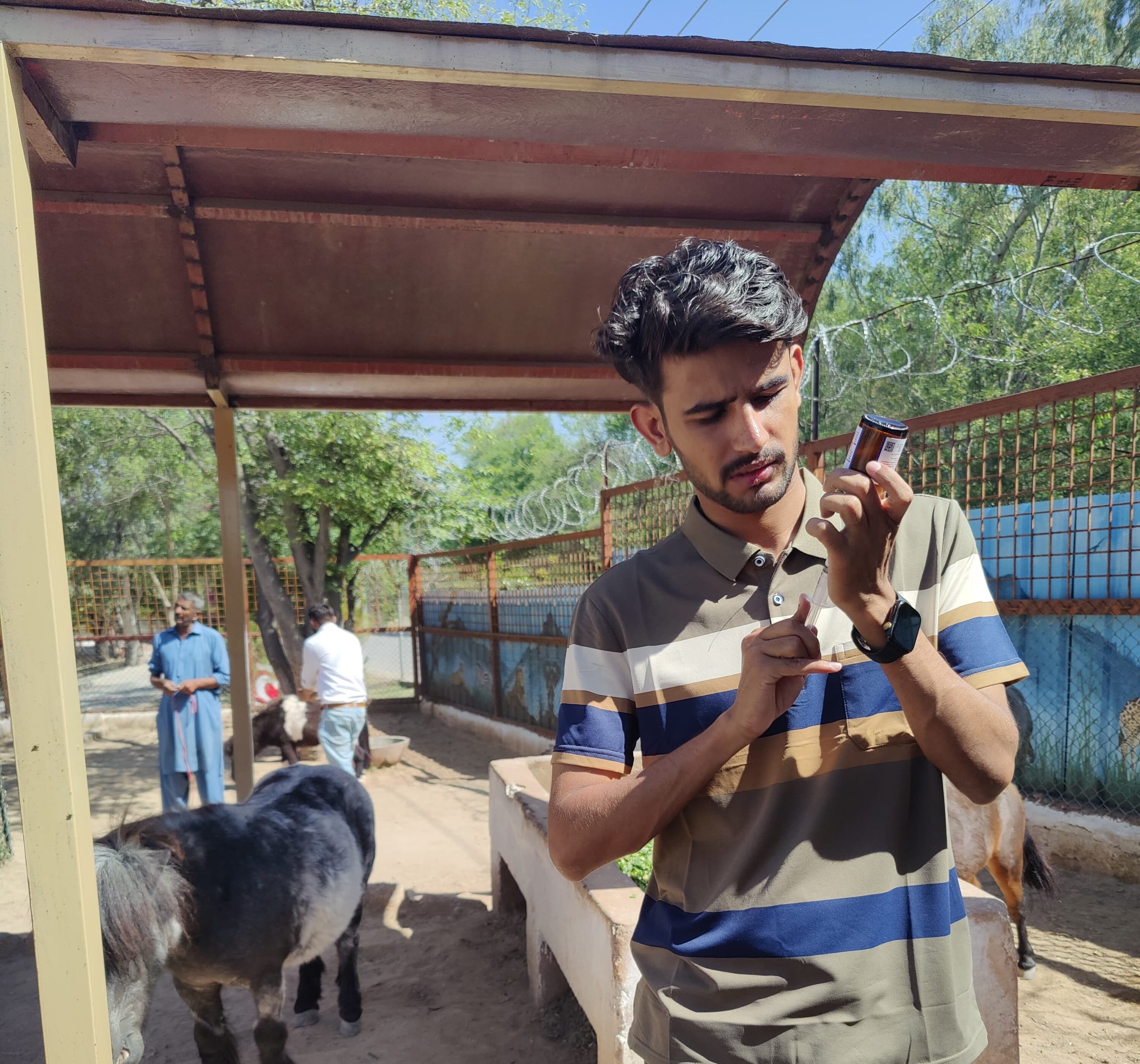 WhatsApp Image 2024-08-15 at 11.56.10 AM